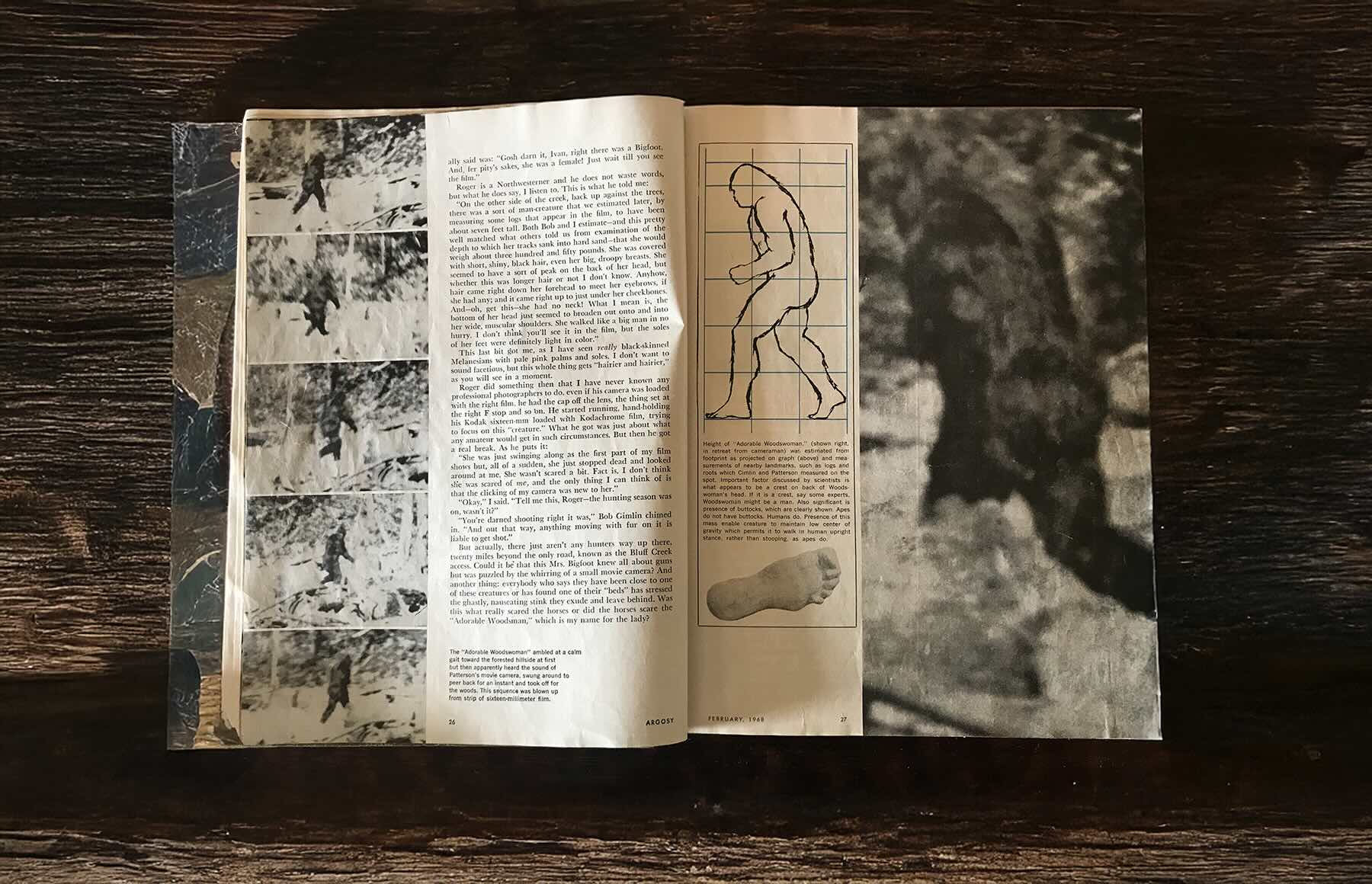 Book spread with Bigfoot images and anatomical diagram